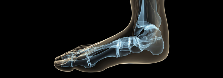 Chiropractic Maple Grove MN Foot X-Ray